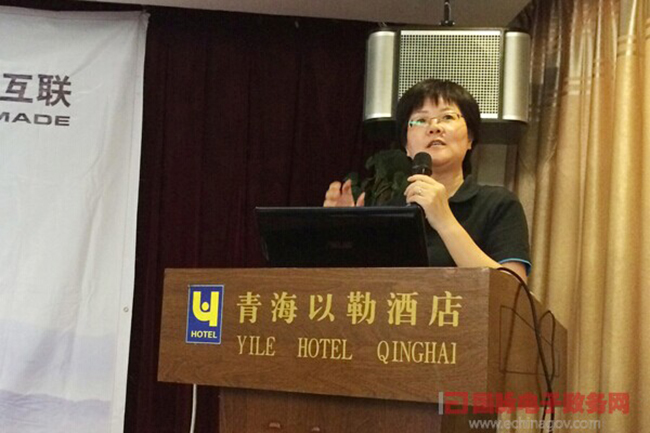 NG体育互联总经理、首席规划师郑爱军正在进行《政府网站+评估体系构建思路》的主题演讲