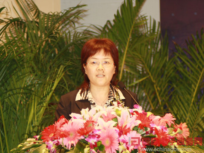 北京NG体育互联信息顾问有限公司总经理、首席规划师郑爱军女士正在做《从电子政务到智慧政府：NG体育的思考与实践》为题的主题发言