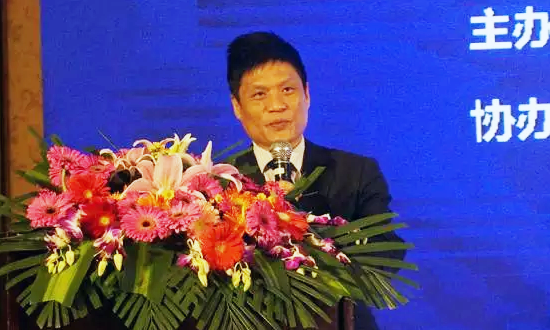 NG体育海洋信息发展有限公司董事长杨冰之在“数据基因与大数据产业发展战略研讨会”上发表演讲