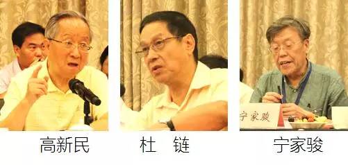 在中国智慧城市发展与评估指标体系建设专家研讨会上，中国互联网协会副理事长高新民、中国信息协会副会长杜链、国家信息中心电子政务专家委员会主任宁家骏发言